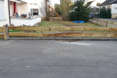 Holz113