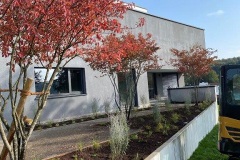 Pflanzung-023