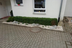 Pflanz045