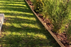 Rasen026