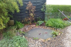 Wasser029